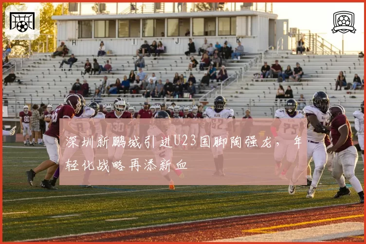 深圳新鹏城引进U23国脚陶强龙，年轻化战略再添新血
