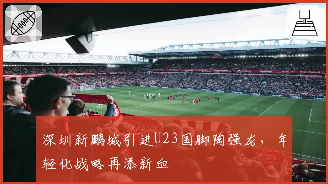 深圳新鹏城引进U23国脚陶强龙,年轻化战略再添新血